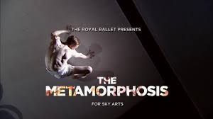 The Metamorphosis Poster