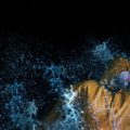 Bound Southwark Playhouse splash